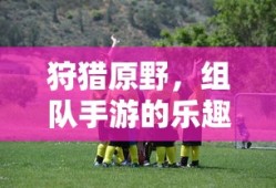 狩猎原野，组队手游的探险与乐趣
