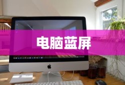 布莱克·莱弗利