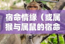 解析火花塞间隙的重要性及其标准值
