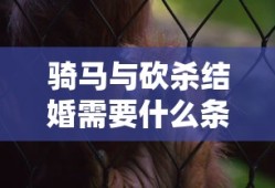 fgosaberlily值得练吗