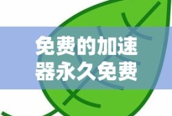 免费的加速器永久免费