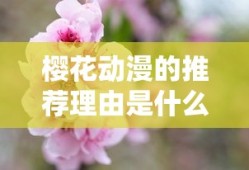 樱花动漫的推荐理由是什么