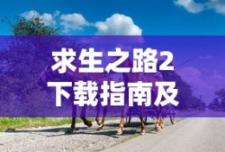 Win11兼容性视图设置位置详解