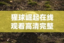 猩球崛起在线观看高清完整版免费