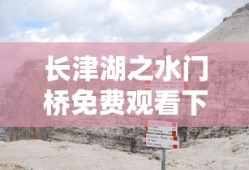 长津湖之水门桥免费观看下载完整版