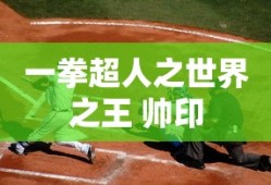 一拳超人之世界之王 帅印