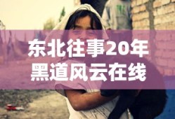 东北往事20年黑道风云在线观看