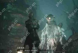 光与影33号远征队雷灵打不打