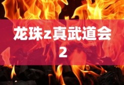 龙珠z真武道会2