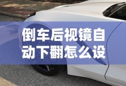 倒车后视镜自动下翻怎么设置