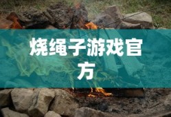 烧绳子游戏官方