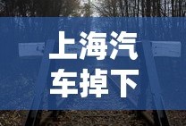 赘婿电视剧在线观看免费完整版高清