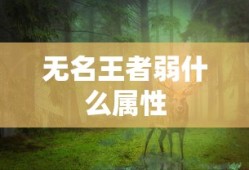 无名王者弱什么属性