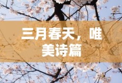 骑砍战团四个隐藏宝箱视频