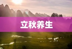 智伴机器人价格表