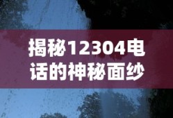 揭秘12304电话的神秘面纱