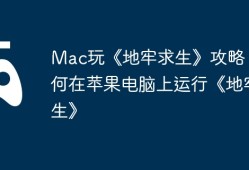 Mac玩《地牢求生》攻略，如何在苹果电脑上运行《地牢求生》