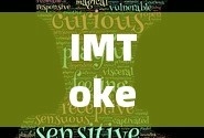 IMToken，跨越语言障碍的在线翻译桥梁