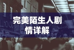 完美陌生人剧情详解