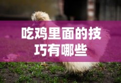 吃鸡里面的技巧有哪些