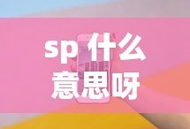 sp 什么意思呀