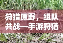 手游新体验，狩猎原野，组队共战