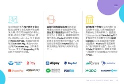 城市入侵者的挑战与应对之道，城市入侵者的挑战与应对策略
