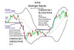 李佳梦李明飞小说
