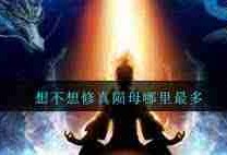 想不想修真陨母在哪里刷-如何在想不想修真中获取陨母