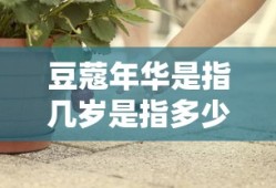 豆蔻年华是指几岁是指多少岁
