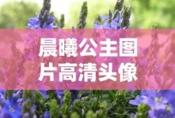 晨曦公主图片高清头像