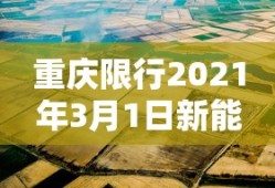 重庆限行2021年3月1日新能源车