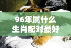 96年属什么生肖配对最好