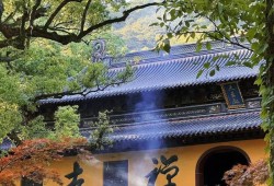 光遇办公室位置探索，一场奇遇的指引，光遇办公室位置揭秘，奇遇之旅的指引