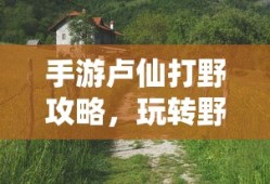 紫苑寺有子身世