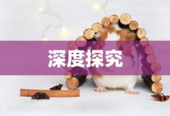 AO3官网链接入口，探索文学与创意的乐园