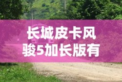 长城皮卡风骏5加长版有多长