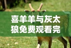 喜羊羊与灰太狼免费观看完整版全部集