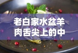 老白家水盆羊肉舌尖上的中国