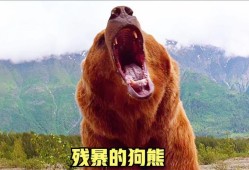 芭比的爱情魔水