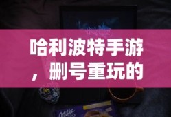 绿色征途，弓手职业加点策略