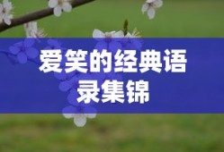 武林立志传龙吟剑完美攻略