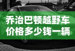 乔治巴顿越野车价格多少钱一辆二手