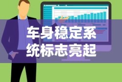 车身稳定系统标志亮起，原因、影响及应对策略