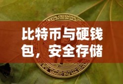 比特币与硬钱包，安全存储与未来展望