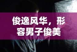 俊逸风华，男子俊美之诗篇