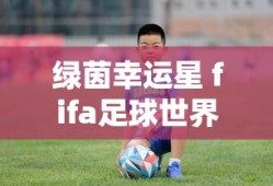 绿茵幸运星 fifa足球世界
