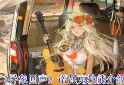 《异象回声》诺瓦克技能有哪些 诺瓦克技能如何选择