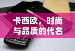卡西欧，时尚与品质的完美融合