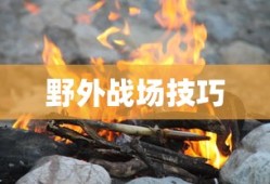手游卢仙打野攻略，玩转野外战场技巧